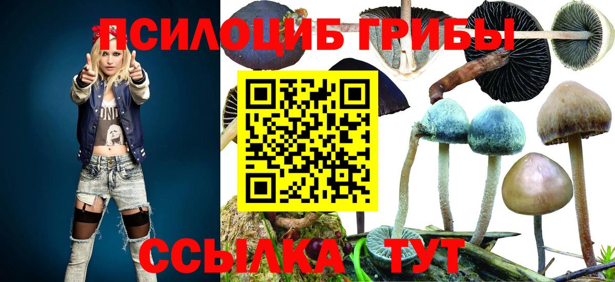 Псилоцибиновые грибы Psilocybine cubensis  Вход с VPN  Нальчик  Галлюциногенные грибы Psilocybine cubensis 